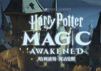 哈利波特魔法觉醒网络连接失败怎么办 哈利波特魔法觉醒网络连接失败解决方法