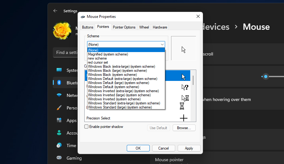 Windows 11 下如何应用您的新光标方案