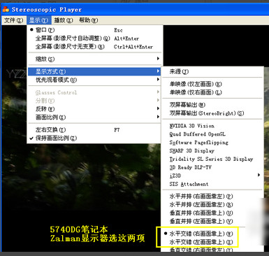 stereoscopic player怎么设置  stereoscopic player设置教程