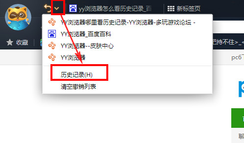 yy浏览器怎么看历史记录
