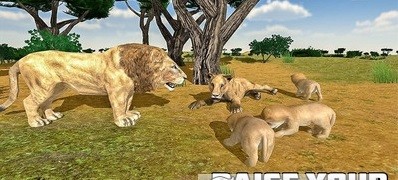 狮子丛林狩猎
