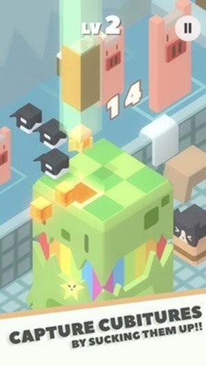 Cubitures
