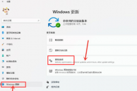 Win11系统打开传递优化功能的方法