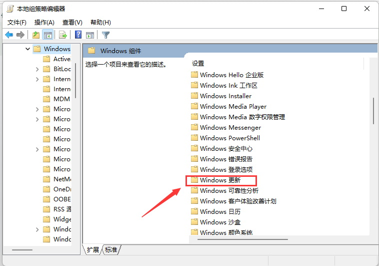 Win11如何更新？Win11系统手动更新的方法