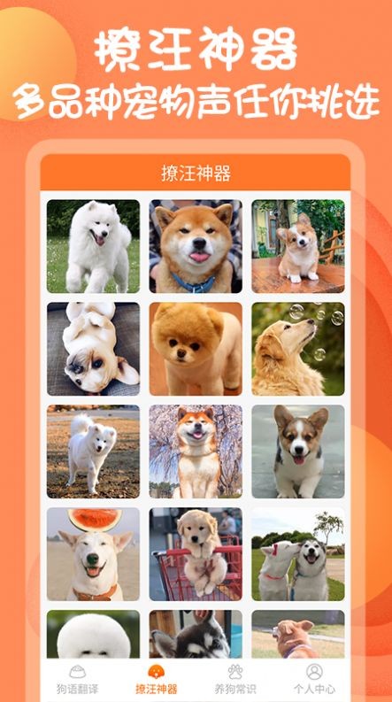 狗与翻译器