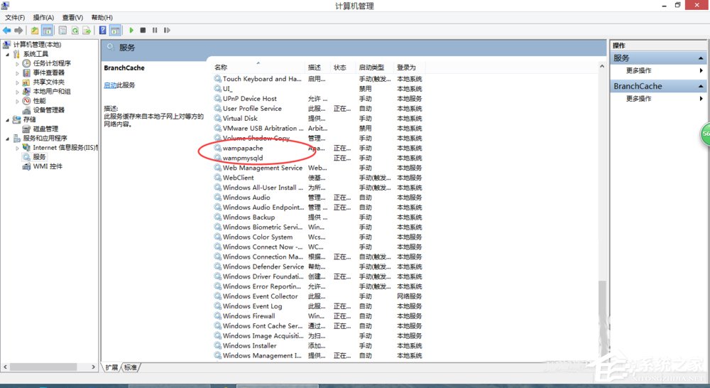 Win7系统wampserver在线但localhost打不开怎么办(3)