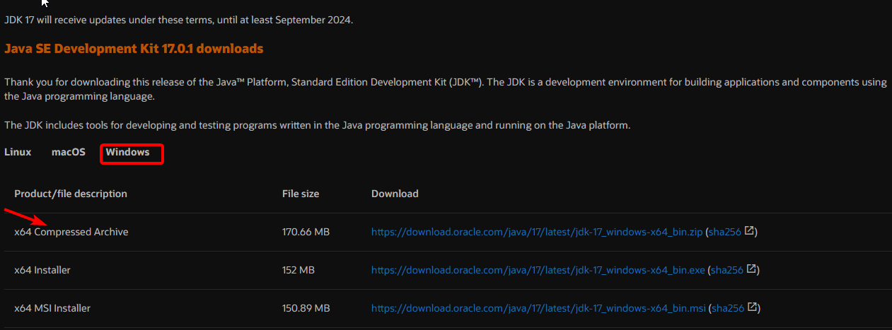 Win11系统上如何下载安装 Java ？