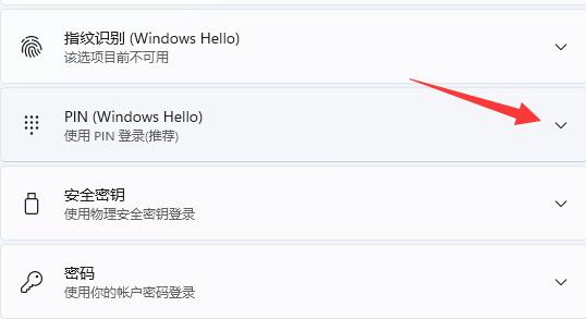 什么是PIN码？Win11系统如何修改PIN码?