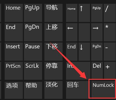 Win11系统键盘打不了字怎么办？怎么恢复？