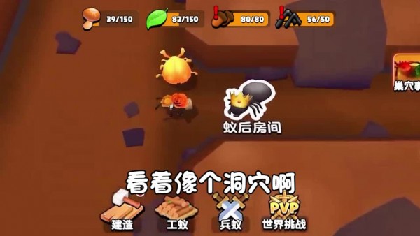 小小蚂蚁