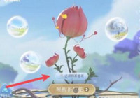 王者荣耀祈愿花怎么用 王者荣耀祈愿花活动攻略