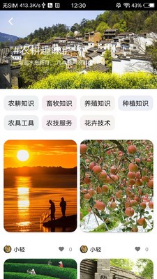 轻游互联