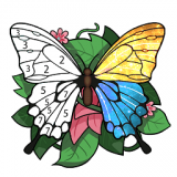 快乐涂数字填色