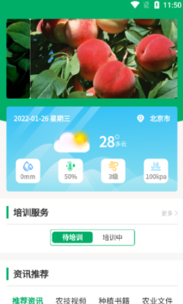广帮培