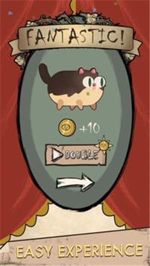 好奇傻死猫