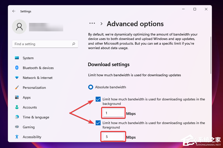 网速变慢了怎么办？Win11系统网速变慢了的解决方法