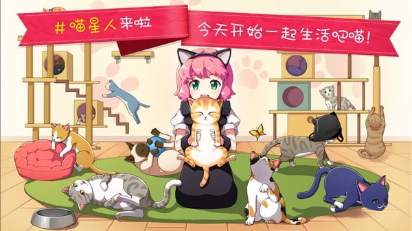 猫猫咖啡屋果盘版