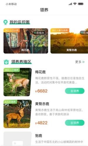 鹿鸣谷