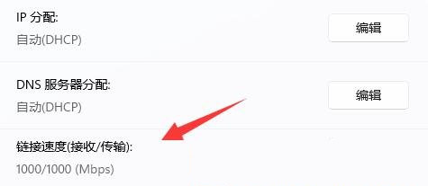网卡速率有多少？Win11系统查看网卡速率的方法