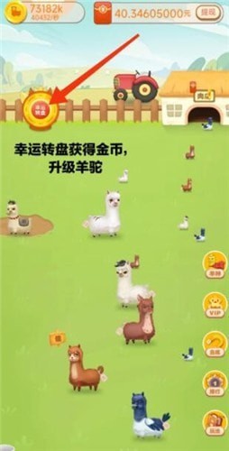 全民养羊驼
