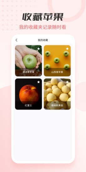 动听苹果大全