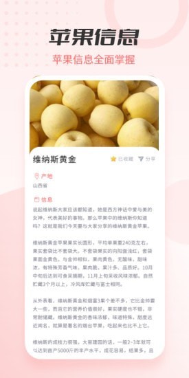 动听苹果大全