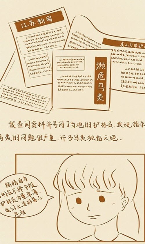 观鸟共栖