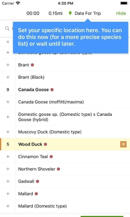 eBird
