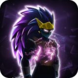 Dragon Shadow Battle
