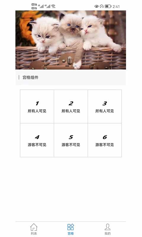 金猫成长记