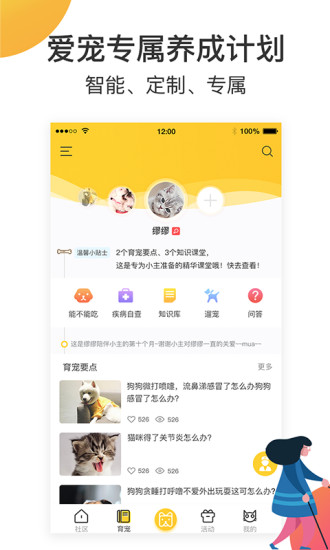 小宠伴你