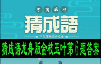 猜成语龙舟版金枝玉叶第6题答案