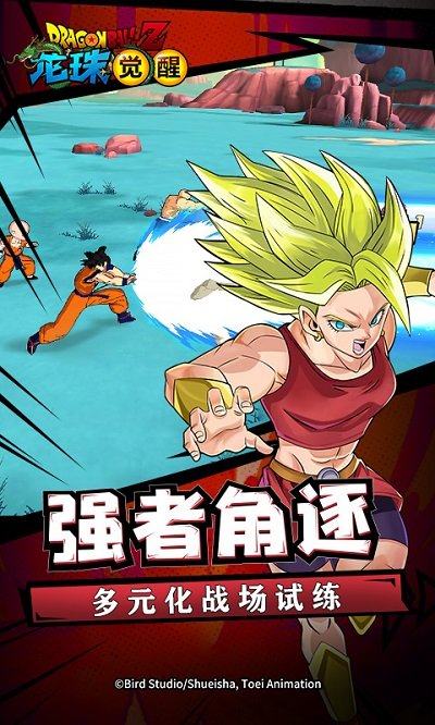 龙珠觉醒正版