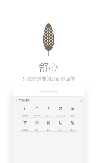 Via网络浏览器