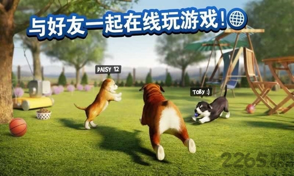 天天小狗