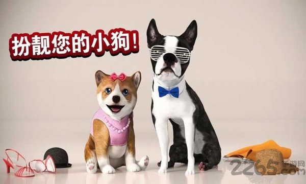 天天小狗