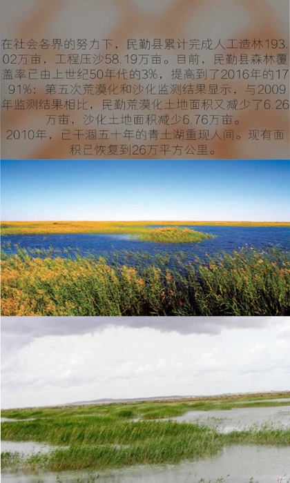绿洲游戏