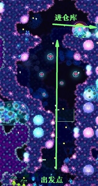 华丽荧光鱼中文版