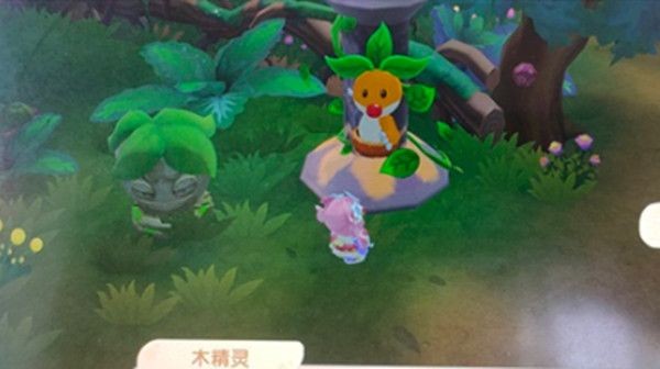 摩尔庄园木灵珠怎么获得 摩尔庄园木灵珠获取任