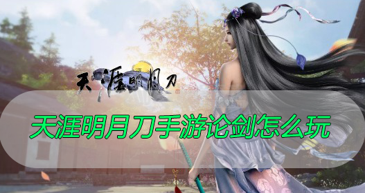天涯明月刀手游论剑怎么玩
