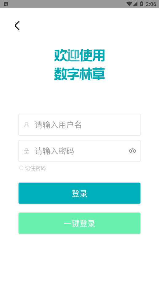 数字熊猫