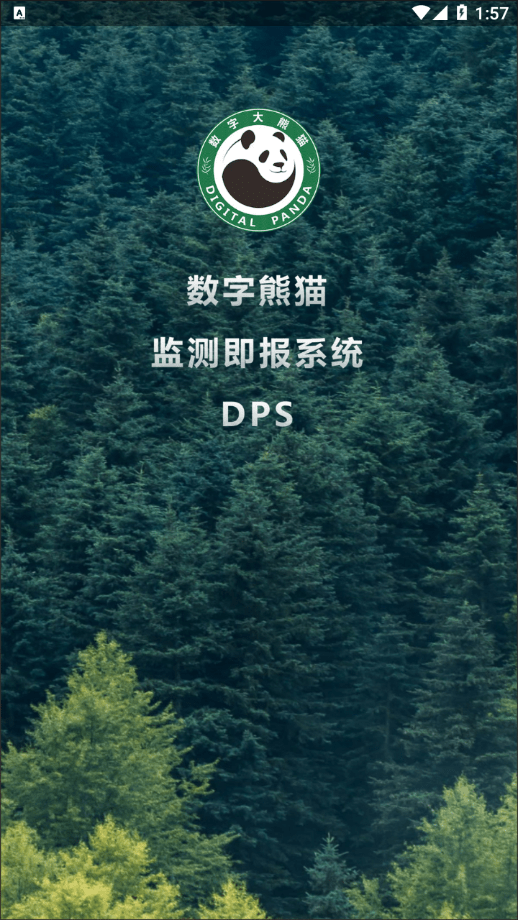 熊猫护林员