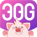 笨猪386
