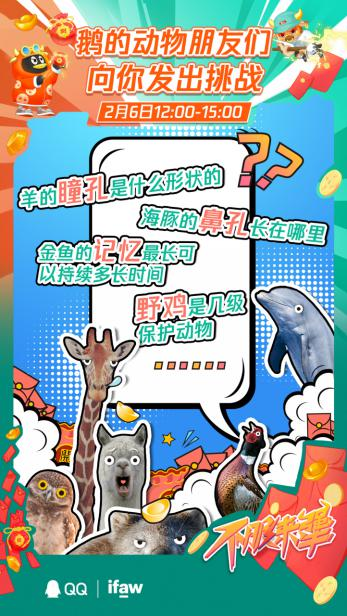 qq牛人争霸赛