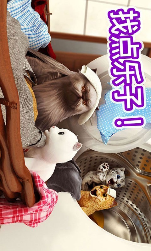 迷你小猫城市生存