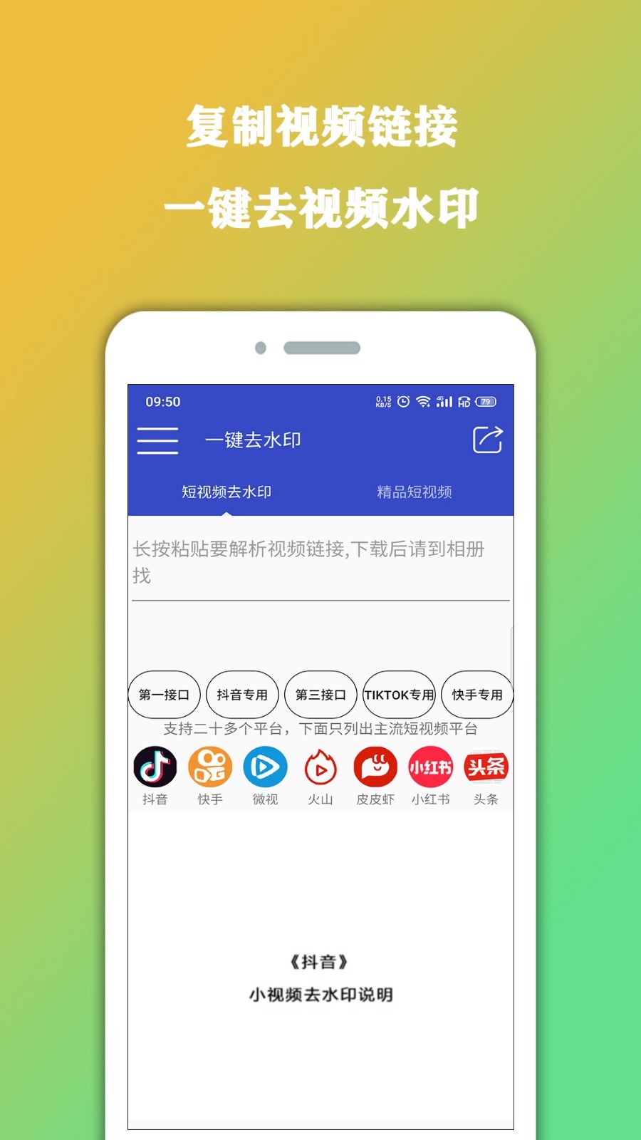视频大师去水印