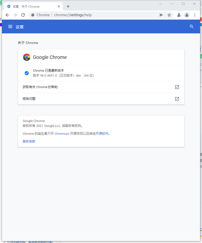Google Chrome(谷歌浏览器)开发版