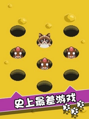 我的猫大人