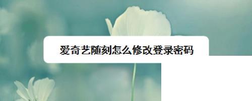 爱奇艺随刻APP怎么修改登录密码