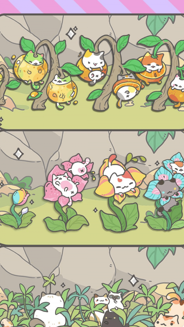 我的猫盆栽中文版